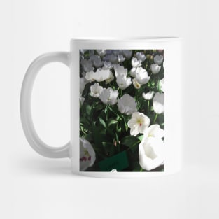 Tulip Time in Canberra Australia 10 Mug